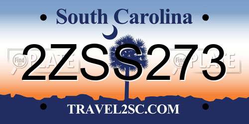 2ZSS273 South Carolina License Plate
