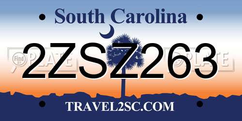 2ZSZ263 South Carolina License Plate