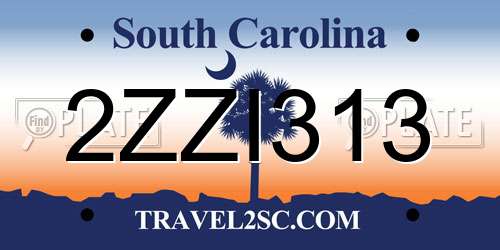 2ZZI313 South Carolina License Plate