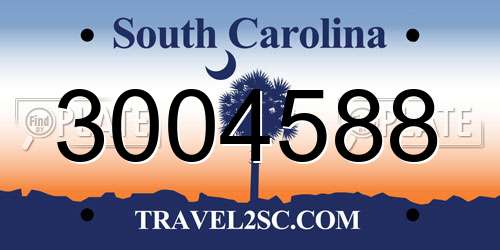 3004588 South Carolina License Plate