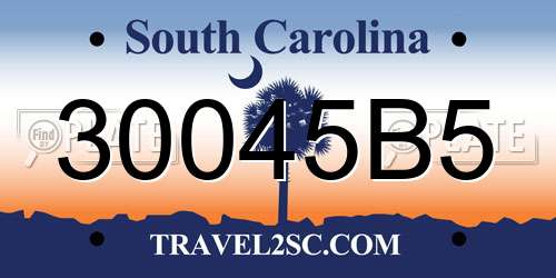 30045B5 South Carolina License Plate