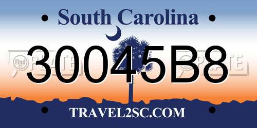30045B8 South Carolina License Plate