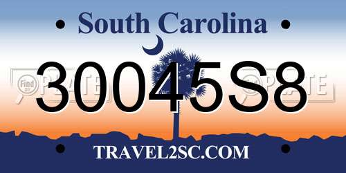 30045S8 South Carolina License Plate