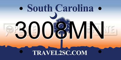 3008MN South Carolina License Plate
