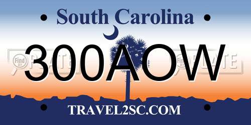 300AOW South Carolina License Plate