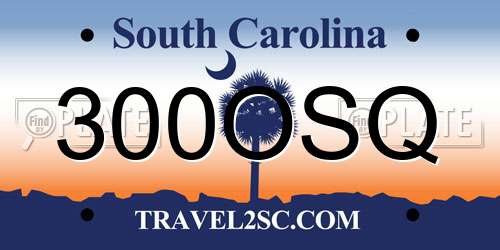 300OSQ South Carolina License Plate