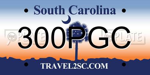 300PGC South Carolina License Plate