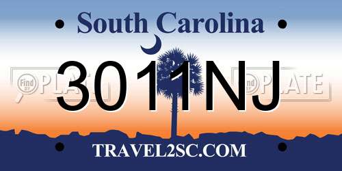 3011NJ South Carolina License Plate