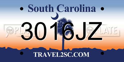 3016JZ South Carolina License Plate
