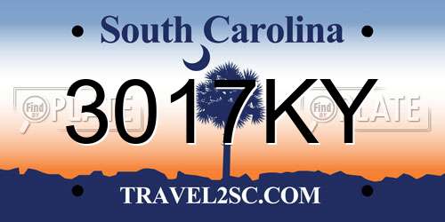 3017KY South Carolina License Plate