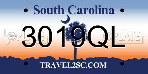 3019QL South Carolina License Plate