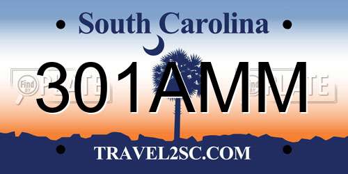 301AMM South Carolina License Plate