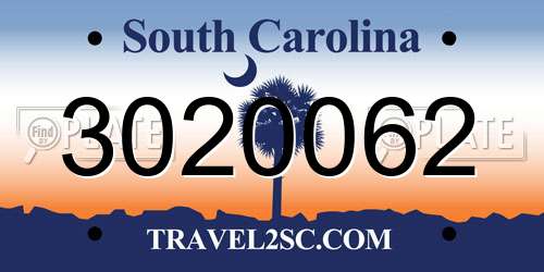 3020062 South Carolina License Plate
