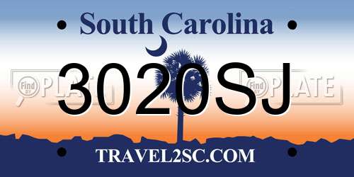 3020SJ South Carolina License Plate