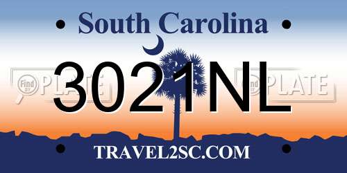 3021NL South Carolina License Plate