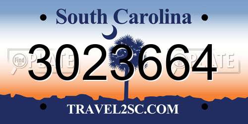 3023664 South Carolina License Plate