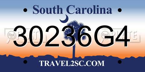 30236G4 South Carolina License Plate