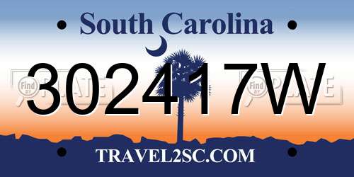 302417W South Carolina License Plate