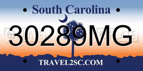 30289MG South Carolina License Plate