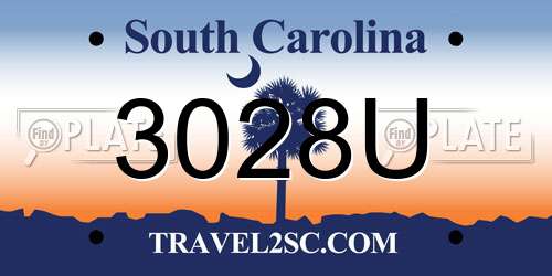 3028U South Carolina License Plate