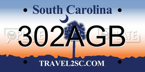 302AGB South Carolina License Plate