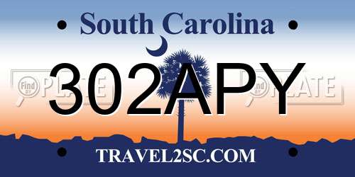 302APY South Carolina License Plate
