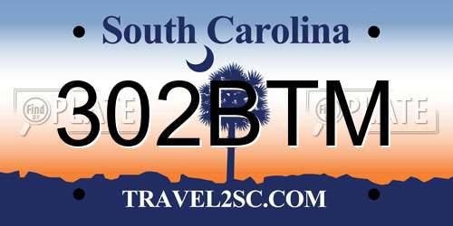 302BTM South Carolina License Plate