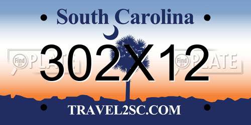 302X12 South Carolina License Plate