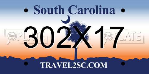 302X17 South Carolina License Plate