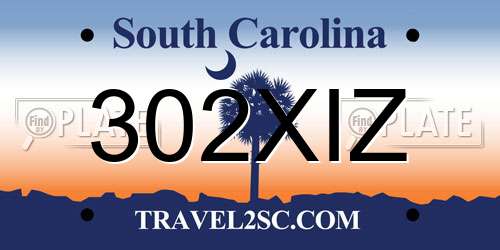 302XIZ South Carolina License Plate