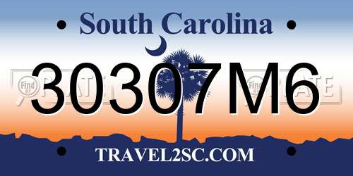 30307M6 South Carolina License Plate