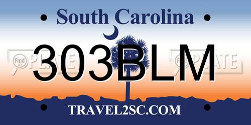 303BLM South Carolina License Plate
