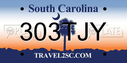 303TJY South Carolina License Plate
