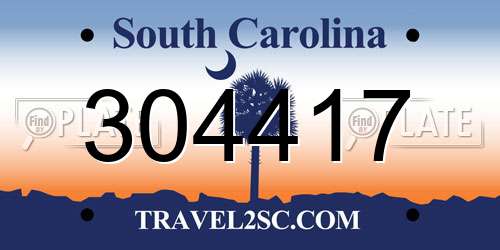 304417 South Carolina License Plate