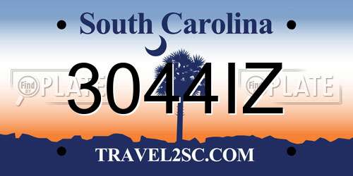 3044IZ South Carolina License Plate