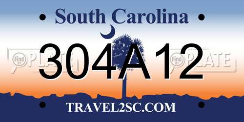 304A12 South Carolina License Plate