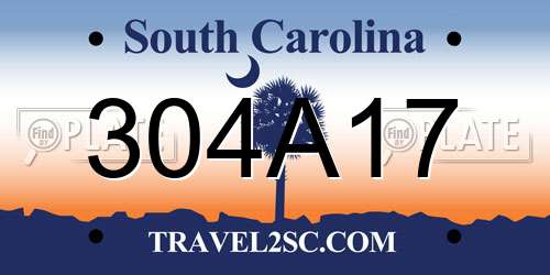 304A17 South Carolina License Plate