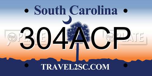 304ACP South Carolina License Plate