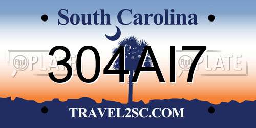 304AI7 South Carolina License Plate