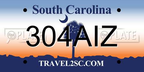304AIZ South Carolina License Plate