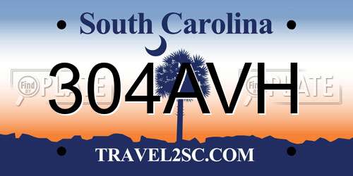 304AVH South Carolina License Plate