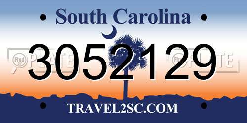 3052129 South Carolina License Plate
