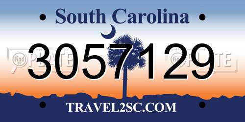 3057129 South Carolina License Plate