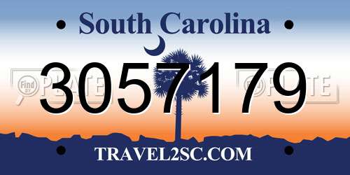 3057179 South Carolina License Plate