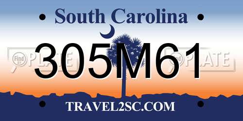 305M61 South Carolina License Plate