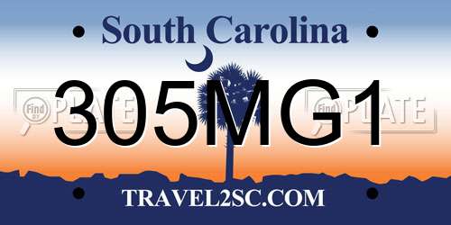 305MG1 South Carolina License Plate