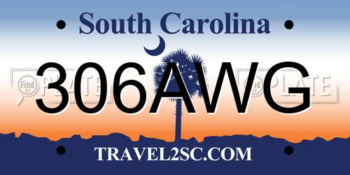 306AWG South Carolina License Plate