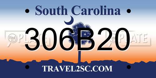 306B20 South Carolina License Plate