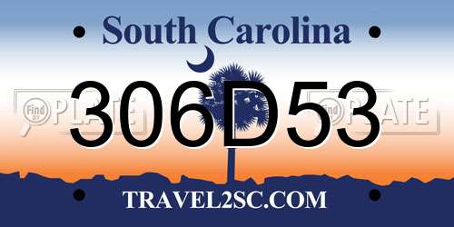 306D53 South Carolina License Plate