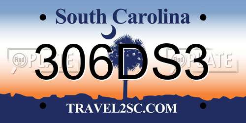 306DS3 South Carolina License Plate